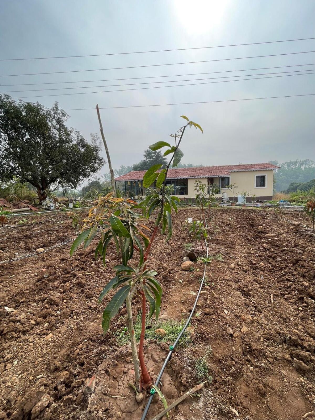 Aj Farms Vila Welhe Exterior foto